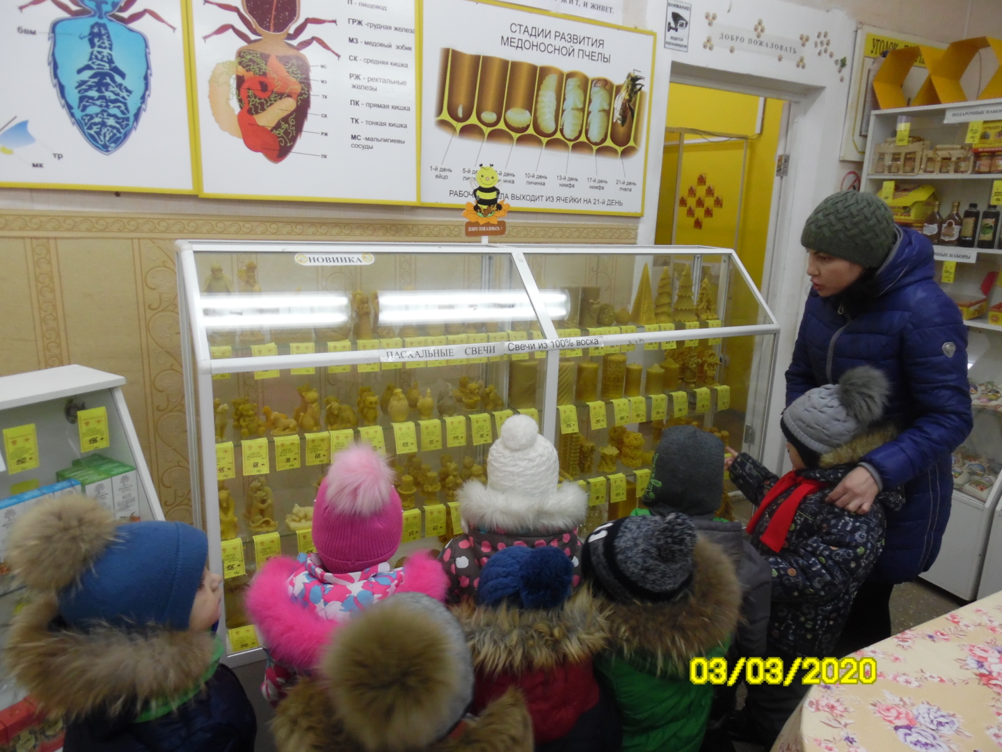 Магазин Пчеловодства В Чебоксарах Адреса