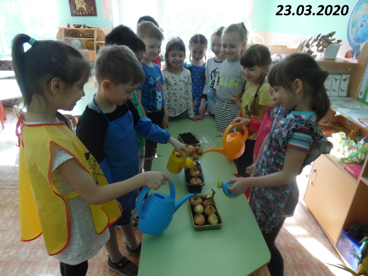 Все о пользе лука и чеснока