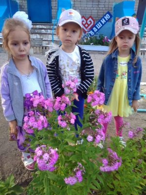 День цветов