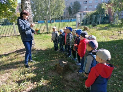Увлекательная беседа