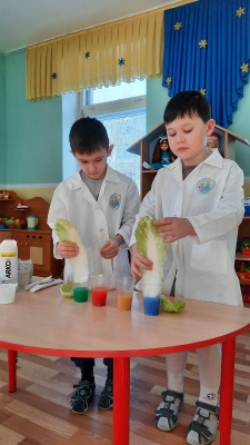 День опытов и экспериментов