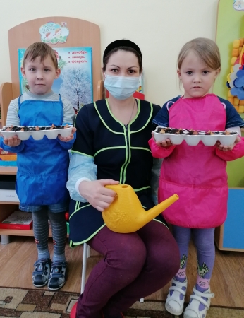 Сажаем лук